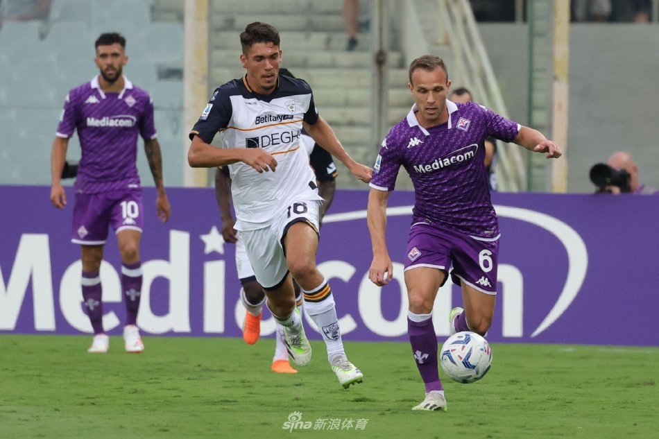 黑马搅局 黑马搅局